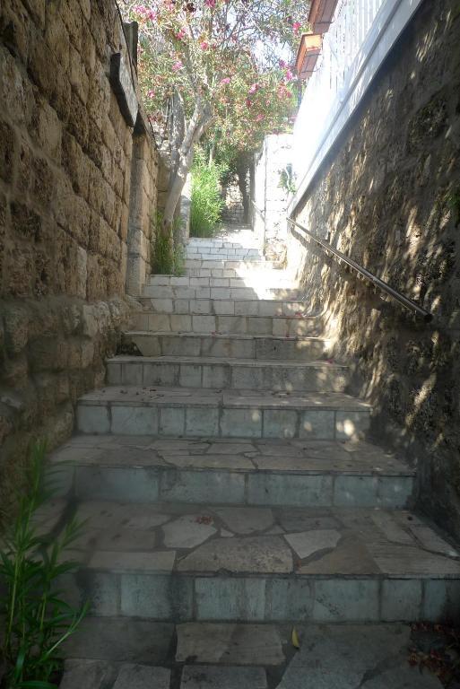 Byblos Fishing Club Guesthouse 객실 사진