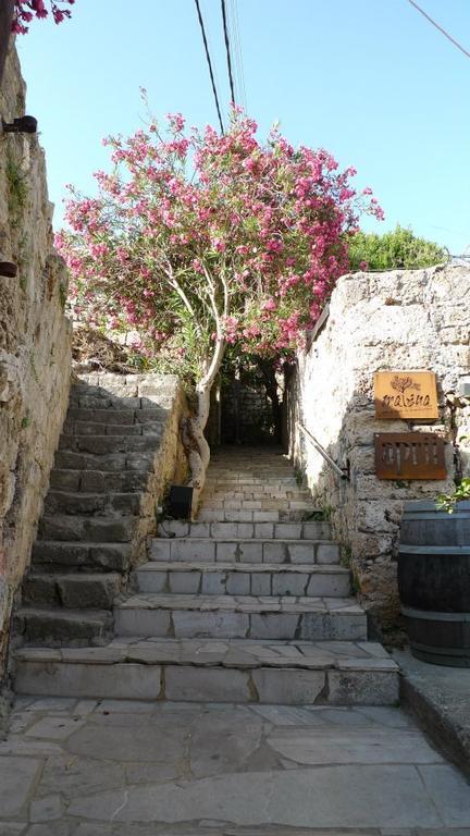 Byblos Fishing Club Guesthouse 외부 사진